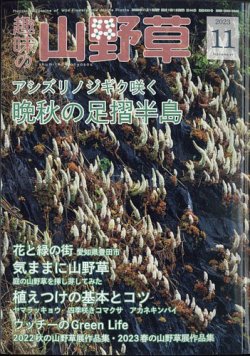 趣味の山野草 2023年11月号 (発売日2023年10月12日) 表紙