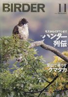BIRDER（バーダー） 2023年11月号 表紙