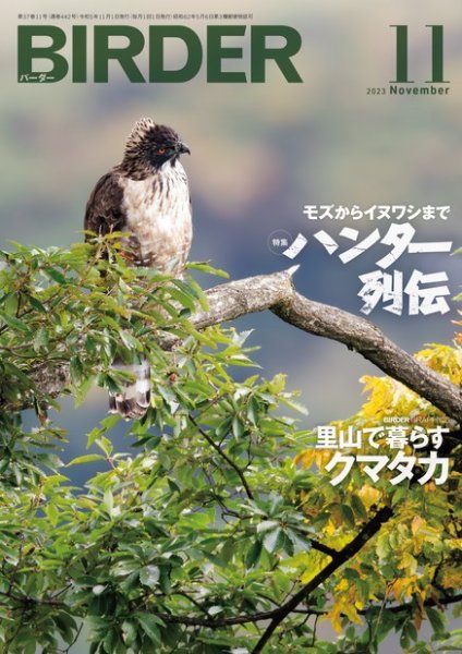 BIRDER（バーダー） 2023年11月号 (発売日2023年10月16日) 表紙