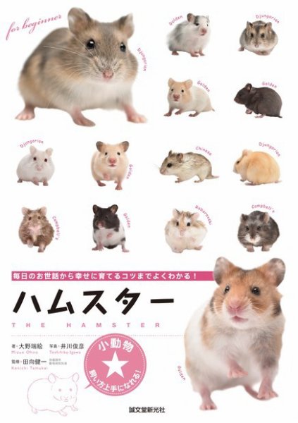 ハムスター 2017年05月15日発売号 表紙