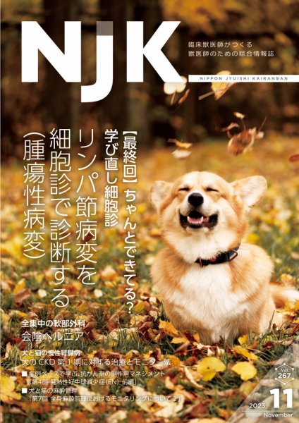 NJK Vol.267 (発売日2023年11月01日) 表紙