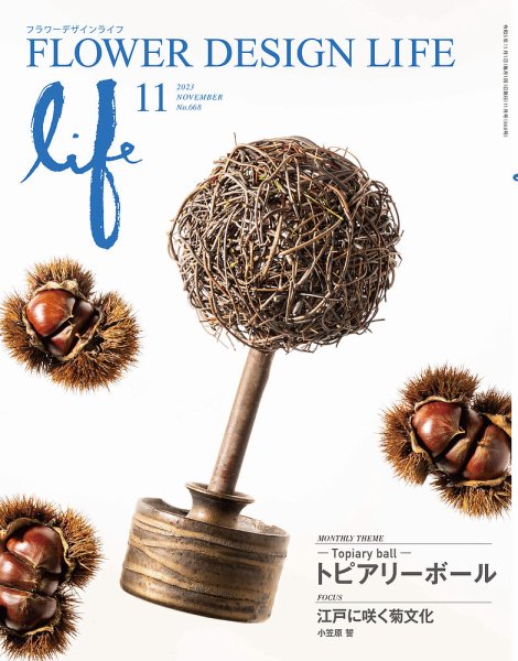 フラワーデザインライフ 2023年11月号 (発売日2023年11月01日) 表紙