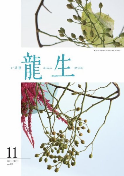 いけ花龍生 11月号 (発売日2023年11月01日) 表紙