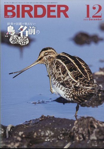 美品【BIRDER 】2023年 BIRDER（バーダー） 2023年12月号 (発売日2023年11月16日) | 雑誌/電子