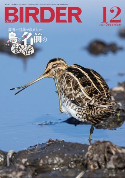 BIRDER（バーダー） 2023年12月号 (発売日2023年11月16日) 表紙