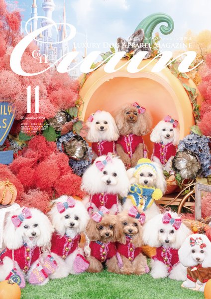 Cuun（クーン） 2023年11月号 (発売日2023年11月10日) 表紙