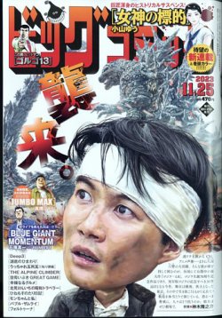 レア】日本漫画名作館 11冊