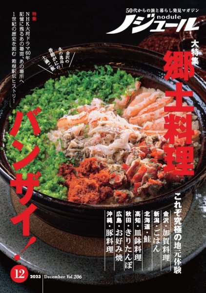 ノジュール（nodule） 2023年12月号 (発売日2023年11月28日) 表紙