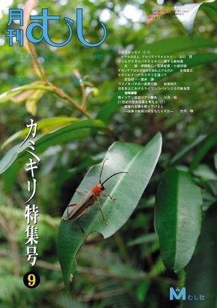 月刊むし 460 (発売日2009年05月20日) 表紙