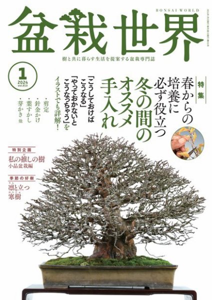 盆栽世界 2024年1月号 (発売日2023年12月04日) 表紙