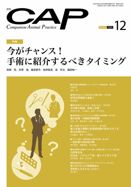 月刊CAP 2023年12月号 (発売日2023年12月01日) 表紙