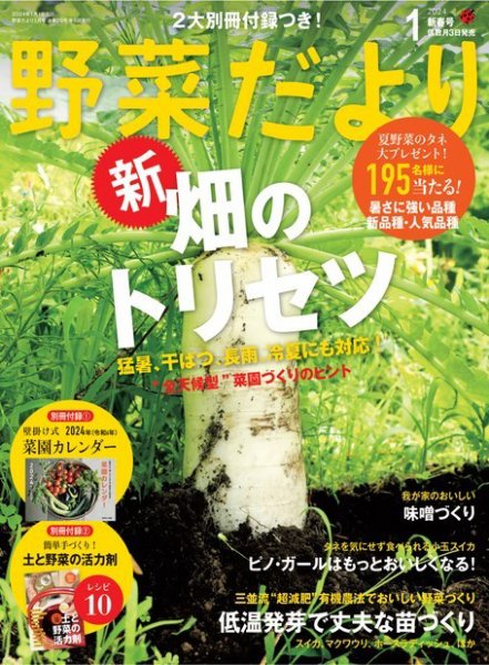 野菜だより 2024年1月号 (発売日2023年12月01日) 表紙