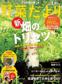 野菜だより 2024年1月号 (発売日2023年12月01日) 表紙