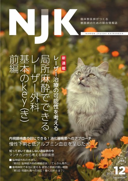 NJK Vol.268 (発売日2023年12月01日) 表紙