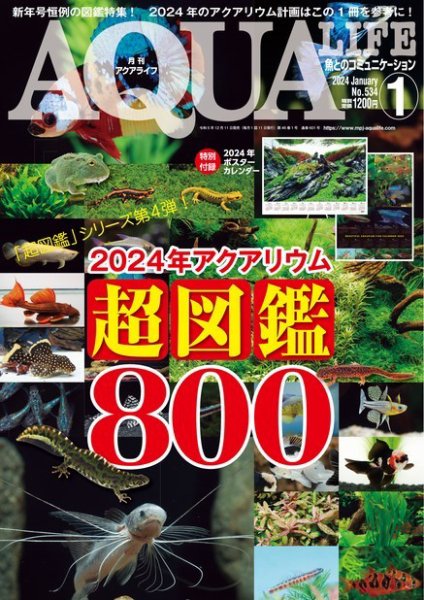 アクアライフ 1月号 (発売日2023年12月11日) 表紙