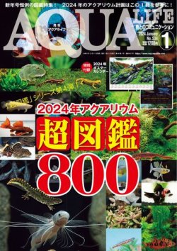 アクアライフ 1月号 (発売日2023年12月11日) | 雑誌/電子書籍/定期購読
