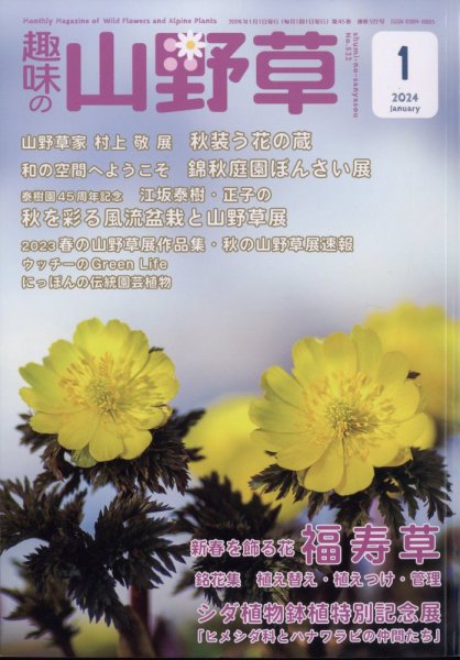 趣味の山野草 2024年1月号 (発売日2023年12月12日) 表紙