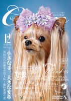 Cuun（クーン） 2023年12月号 (発売日2023年12月10日) 表紙