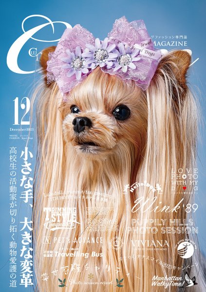 Cuun（クーン） 2023年12月号 (発売日2023年12月10日) 表紙