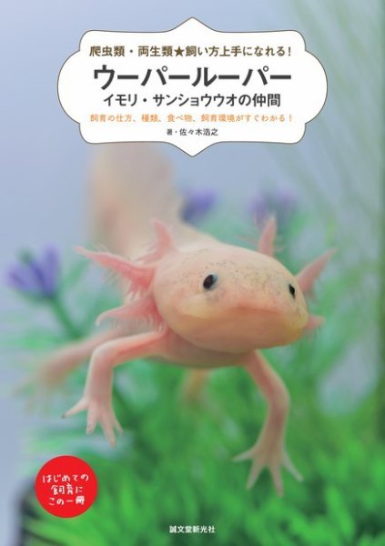 ウーパールーパー・イモリ・サンショウウオの仲間 2018年05月02日発売号 表紙