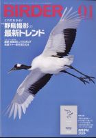 BIRDER（バーダー） 2024年1月号 表紙