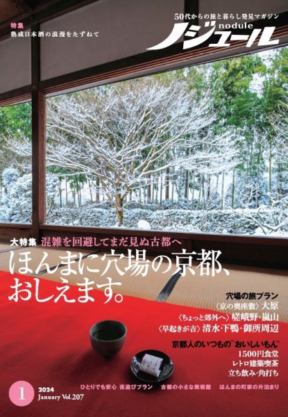 ノジュール　2024年2月号〜12月号&2025年1月〜8月の19冊セット ノジュール（nodule） 2024年1月号 (発売日2023年12月28日) | 雑誌