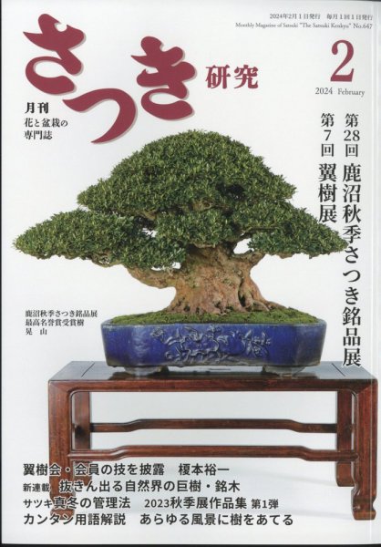 さつき研究 2024年2月号 (発売日2023年12月25日) 表紙