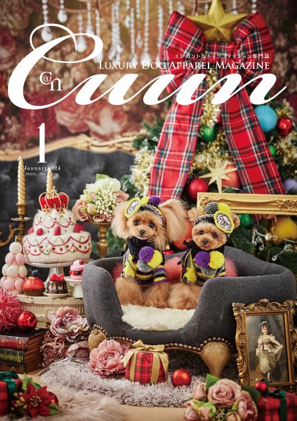Cuun（クーン） 2024年1月号 (発売日2024年01月10日) 表紙