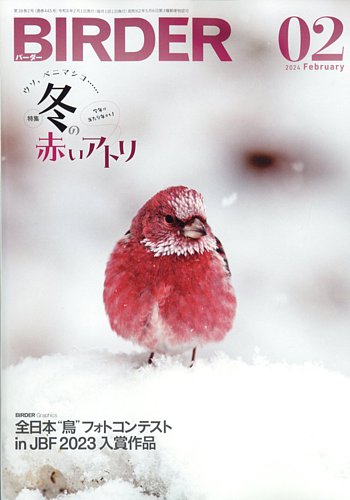 BIRDER（バーダー） 2024年2月号 (発売日2024年01月16日) | 雑誌/電子