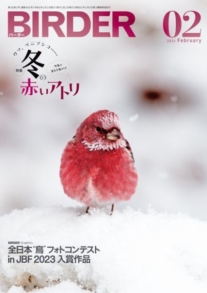 BIRDER（バーダー） 2024年2月号 (発売日2024年01月16日) 表紙