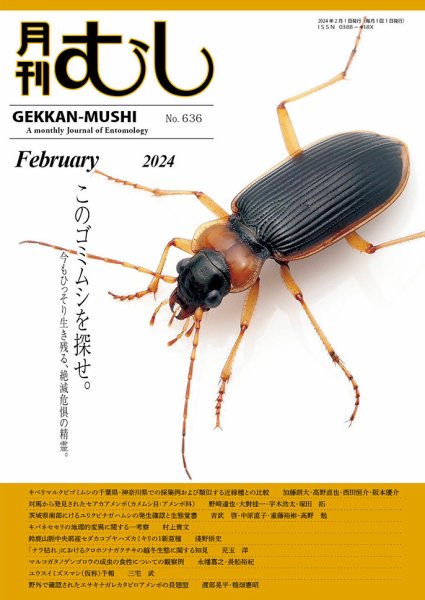 月刊むし 636 (発売日2024年01月20日) 表紙