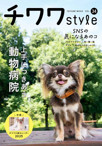 【サイズ変更】☆チワワの春☆ チワワスタイル vol.34 (発売日2024年09月13日) | 雑誌/定期購読の予約