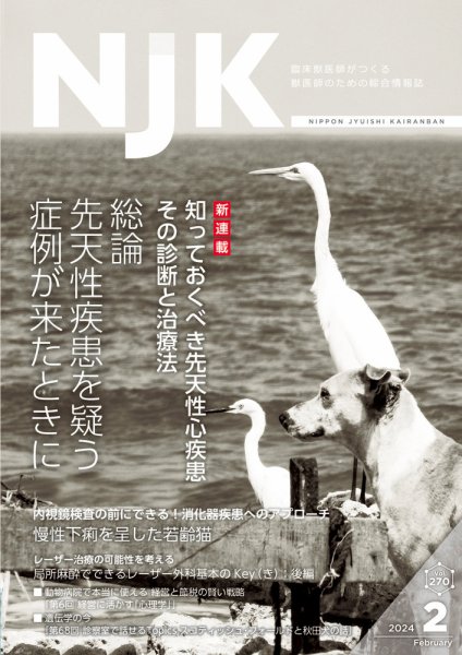 NJK Vol.270 (発売日2024年02月01日) 表紙
