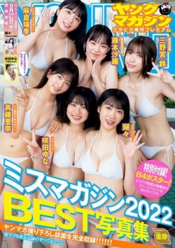 ヤング 雑誌 グラビア