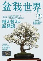 盆栽世界 2024年3月号 表紙