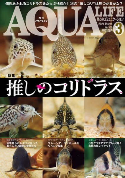 アクアライフ 3月号 (発売日2024年02月09日) 表紙