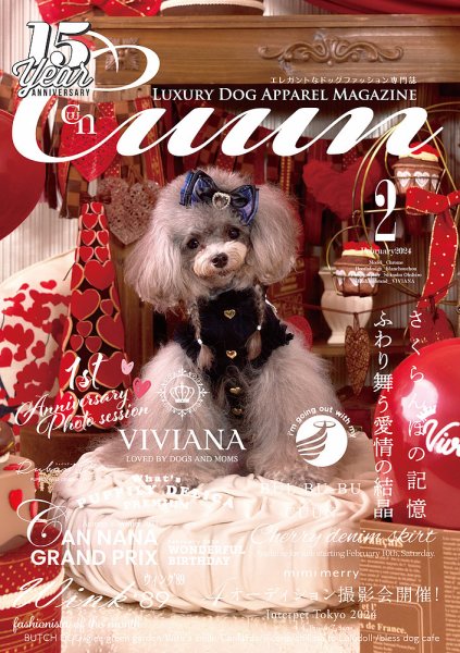 Cuun（クーン） 2024年2月号 (発売日2024年02月10日) 表紙