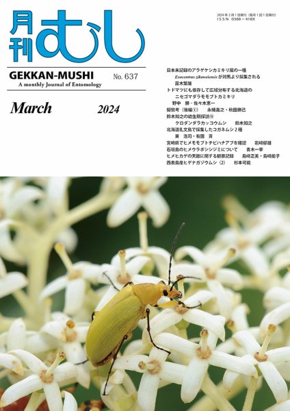 月刊むし 637 (発売日2024年02月20日) 表紙