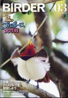 BIRDER（バーダー） 2024年3月号 (発売日2024年02月16日)