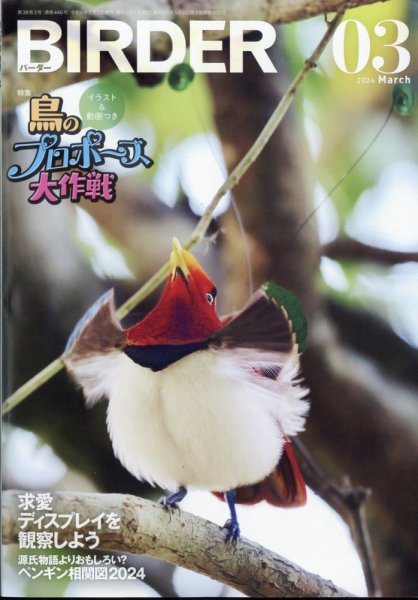美品【BIRDER】2024年 BIRDER（バーダー） 2024年3月号 (発売日2024年02月16日) | 雑誌/電子