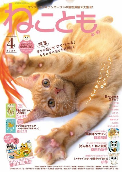 ねことも 2024年4月号 (発売日2024年02月16日) 表紙