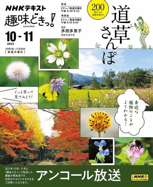NHKテレビ 趣味どきっ！（月曜） 道草さんぽ2023年10月～11月 (発売日2023年09月27日) 表紙