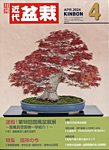 月刊 近代盆栽 2024年4月号の表紙
