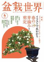 盆栽世界 2024年4月号 (発売日2024年03月04日) 表紙