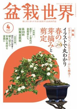 雑誌/定期購読の予約はFujisan 雑誌内検索：【黒松】 が盆栽世界の2024年03月04日発売号で見つかりました！