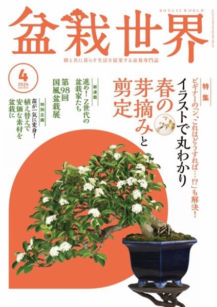 盆栽世界 2024年4月号 (発売日2024年03月04日) 表紙