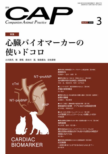 月刊CAP 2024年3月号 (発売日2024年03月01日) 表紙
