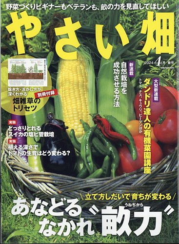 やさい畑の最新号【2024年4月号 (発売日2024年03月04日)】| 雑誌/定期