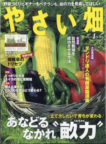 やさい畑 2024年4月号 (発売日2024年03月04日) 表紙
