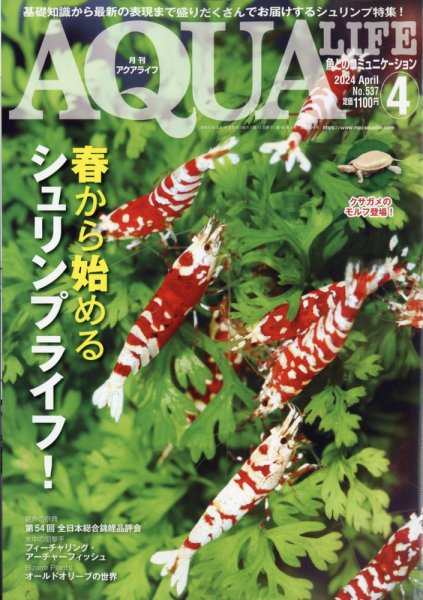 アクアライフ 4月号 (発売日2024年03月11日) 表紙